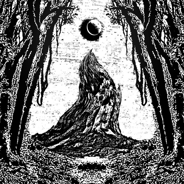 Cam Cole – Crooked Hill