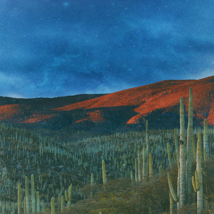 Nicolas Kluzek – Antonella