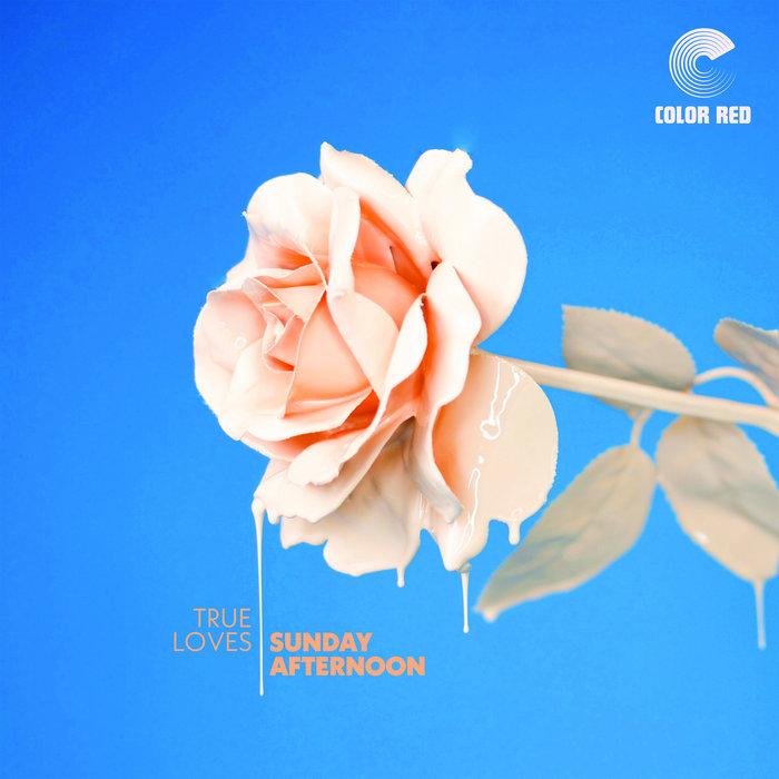 The True Loves – Robin's Revenge