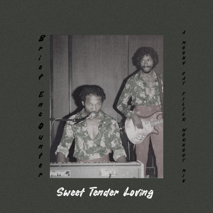 A Moony Cat – Brief Encounter – Sweet Tender Loving (A Moony Cat Filter Workout Mix)