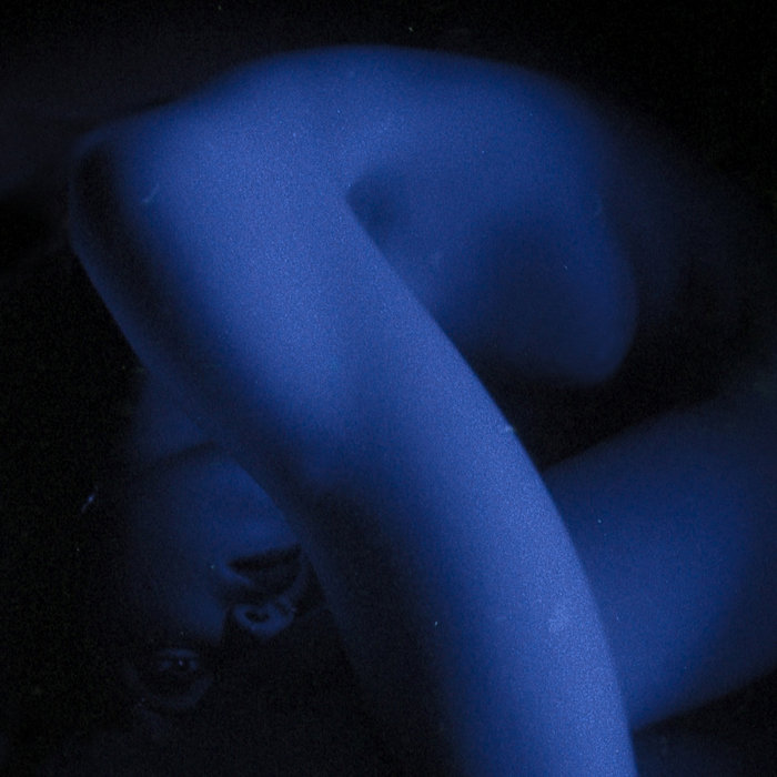 (Liv).e – Wild Animals