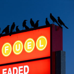 Nebraska – Cop Show