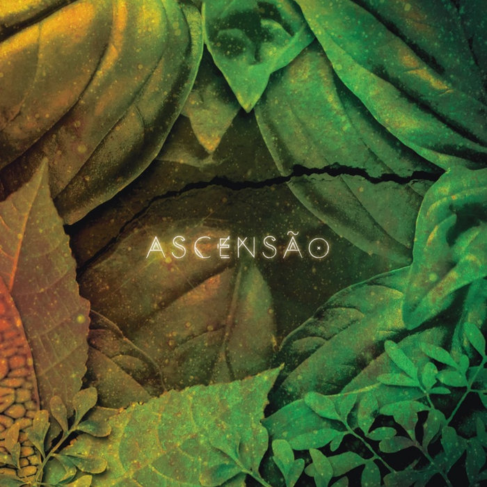 Serena Assumpção – Ascensa​o