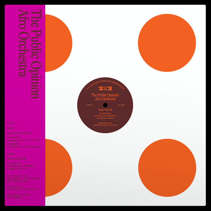 The Public Opinion Afro Orchestra – Shake That Off
