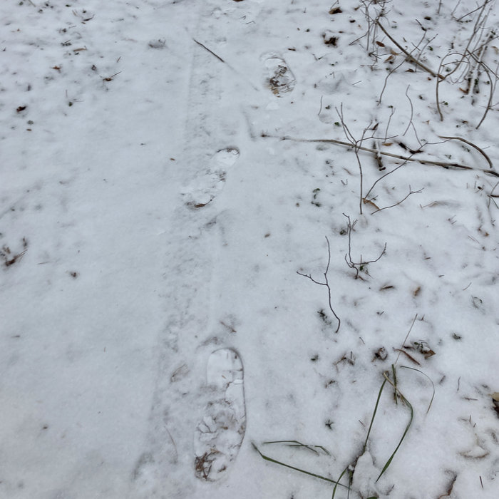 Illingsworth – lights out forever