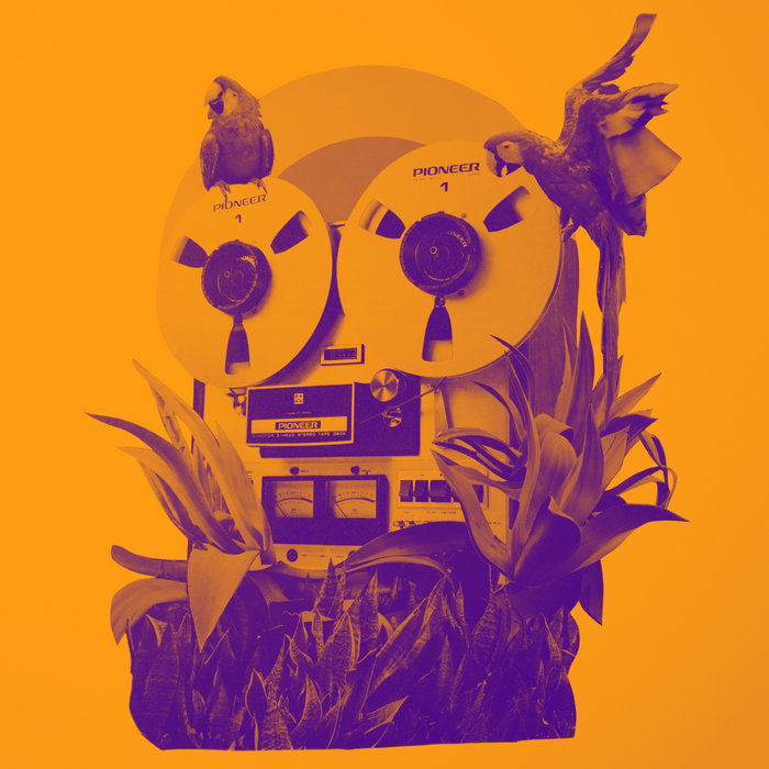 Locobeach – Idea Desesperada