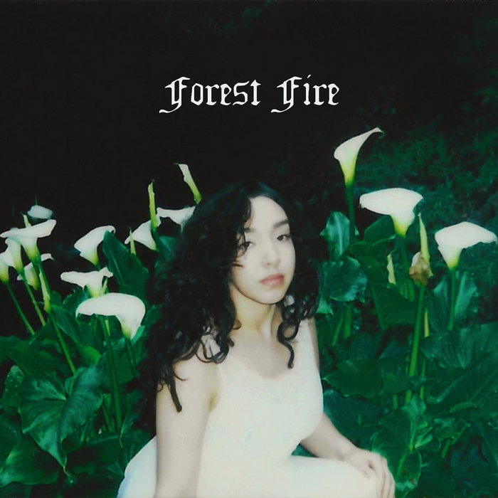 Angela Munoz – Forest Fire
