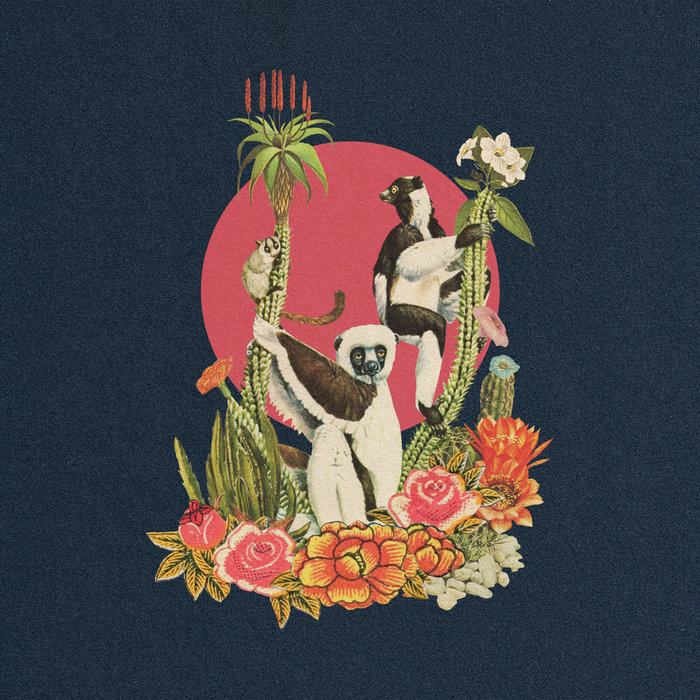 Monster Rally – Ring Tail