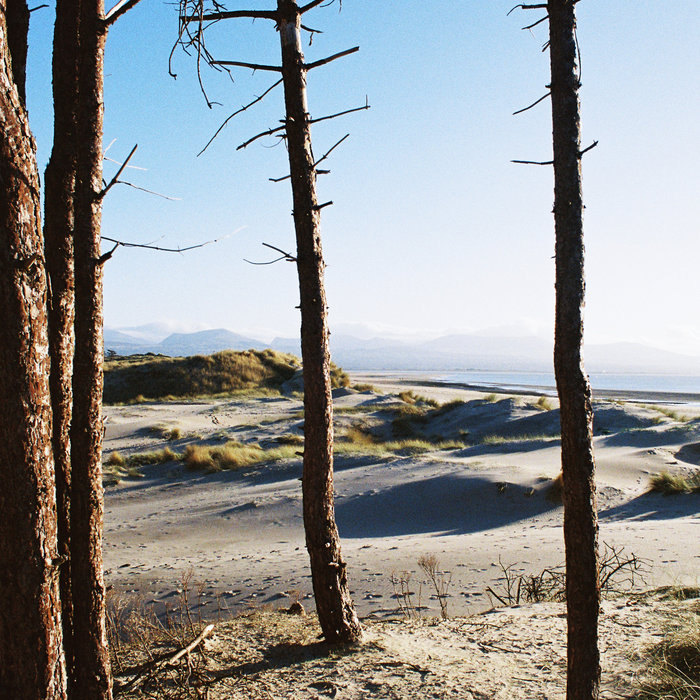 Getdown Services – Eat Quiche, Sleep, Repeat