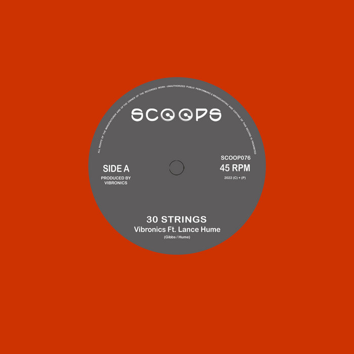 Vibronics feat. Lance Hume – 30 Strings