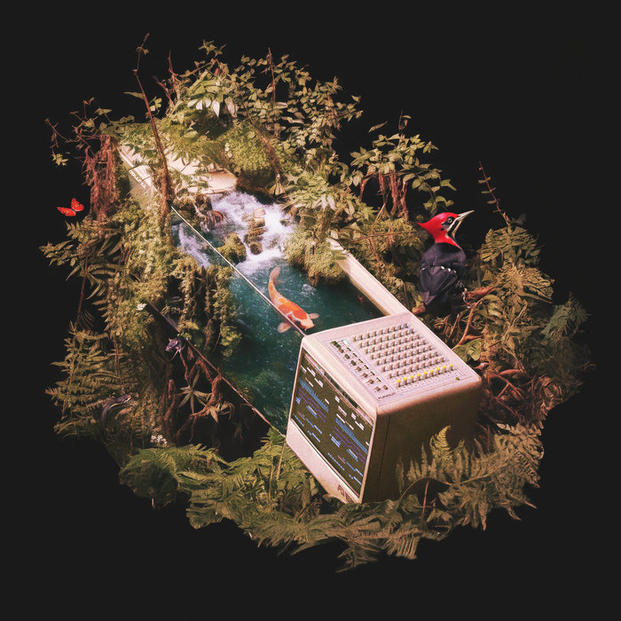 Arkaik – The Woodpecker