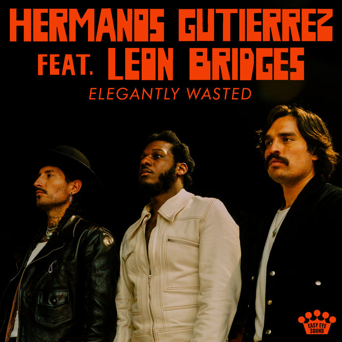 Hermanos Gutiérrez Ft. Leon Bridges – Elegantly Wasted