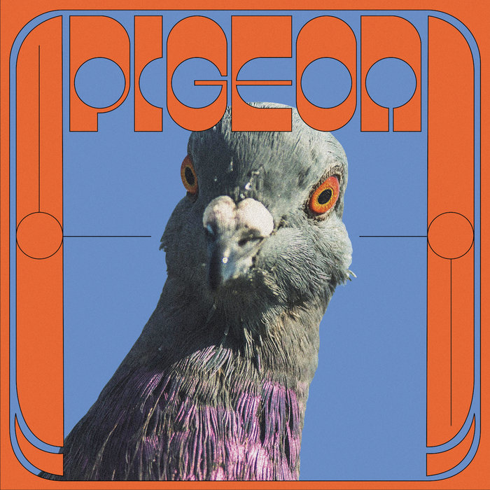 Pigeon – War (Jam)