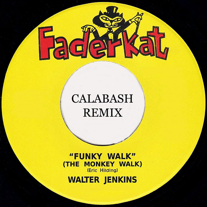 Sonic Funk Foundry – Jenkins – Funky Walk (Calabash Remix)