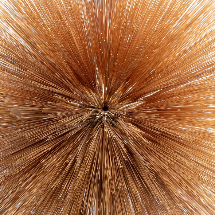 Patricia Brennan – Antlia