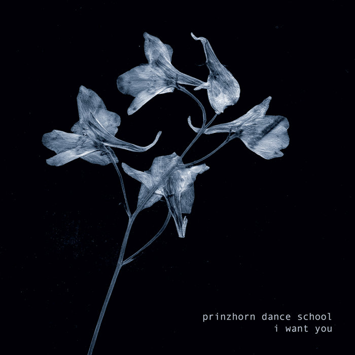 Prinzhorn Dance School – Love In The Ground