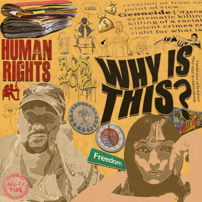 Indigenous Cats – Why Is This?